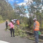 Ejemplarización. Su objetivo no es solo informar que unos jóvenes trabajaron, sino advertir a la población que el espacio público es para la convivencia